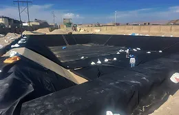 POZAS DE SEDIMENTACIÓN
